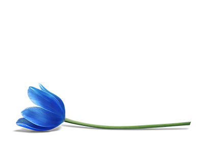 Blaue Blume
